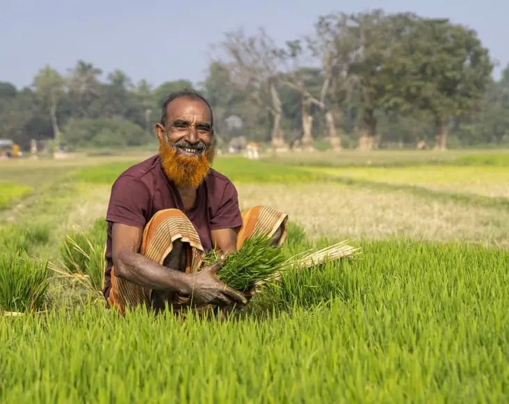 How to Improve Agriculture in Bangladesh